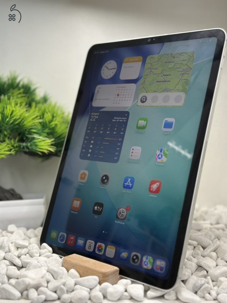 iPad Pro 11