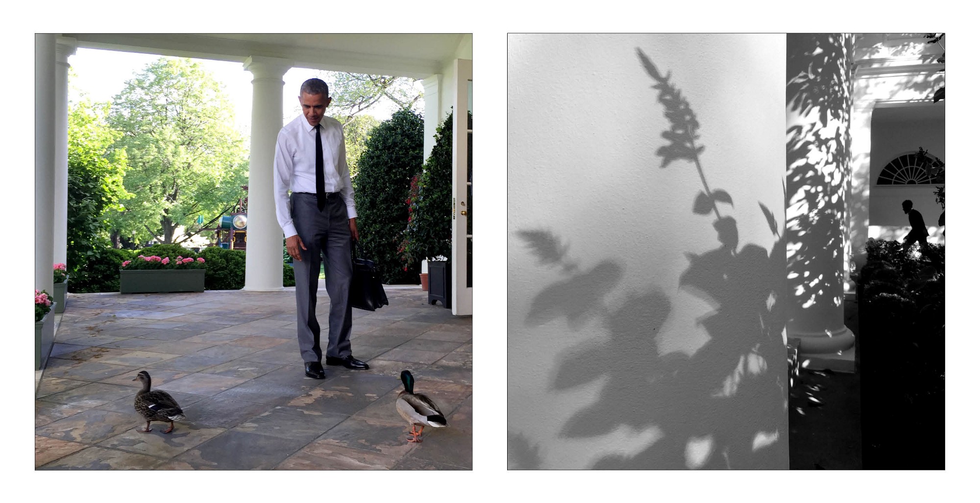 Így használja iPhone-ját a fehér ház hivatalos fotósa