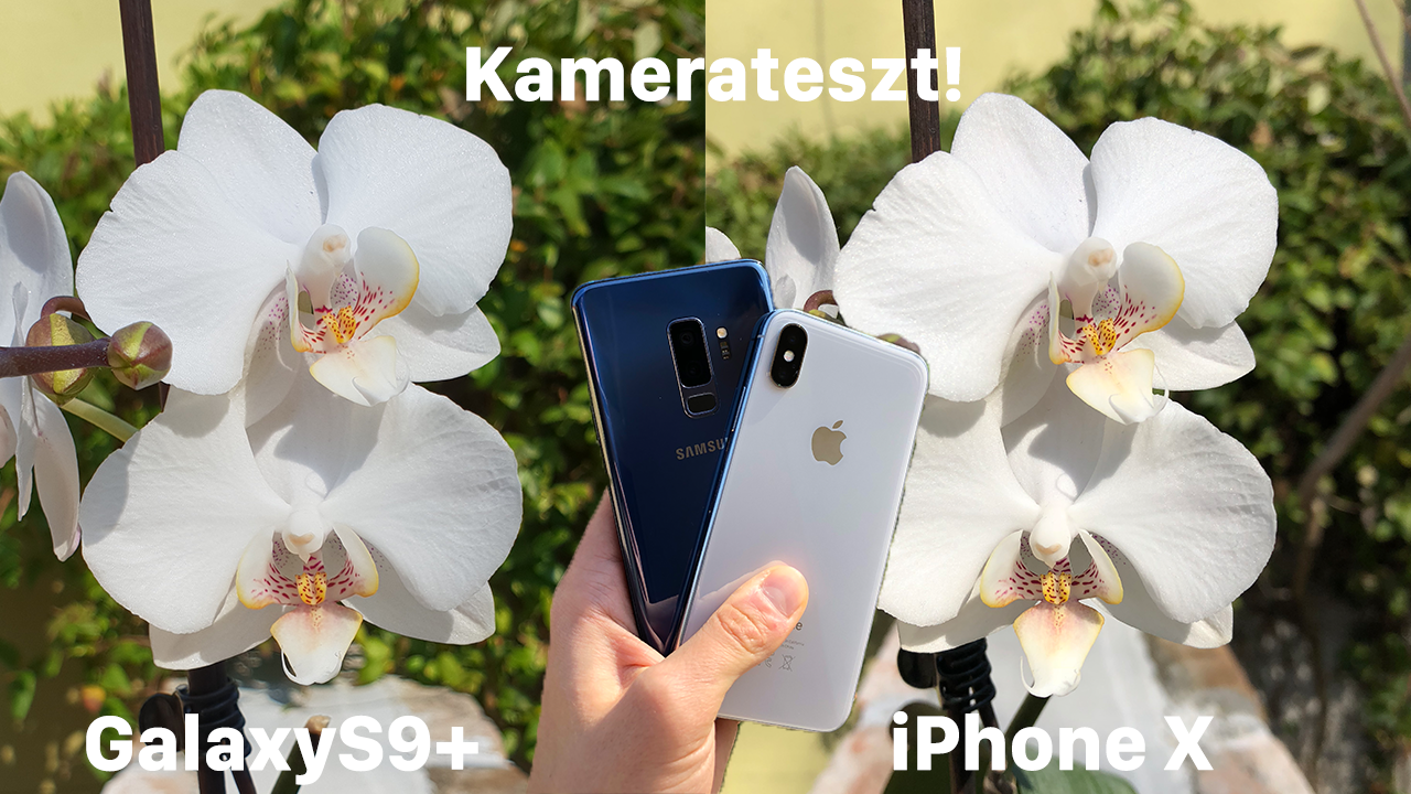 Galaxy S9+ kamerateszt / iPhone X összehasonlítás 