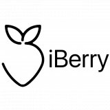 iBerry.hu (2023)